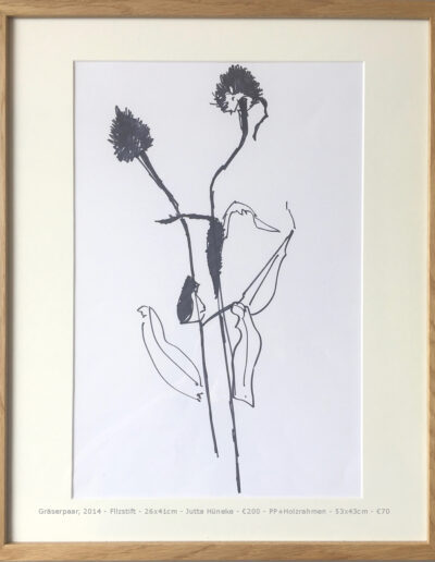 Stift Gräserpaar Zeichnung, Filzstift, Wiesenklee Pencil Couple of grasses drawing, felt tip pen, meadow clover