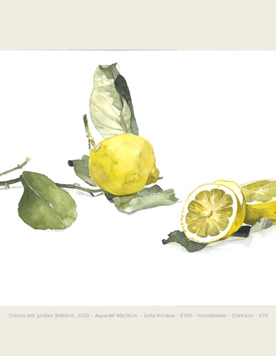 Aquarell, Zitronen mit großen Blättern, Illustration, Watercolour, Lemons