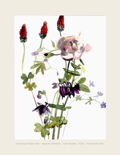 Aquarell Rosa Rose Roter Klee violette Akelei Illustration Watercolour Watercolor Green Asparagus